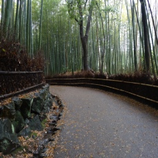 Bamboo Path, Arashiyama, Kyoto