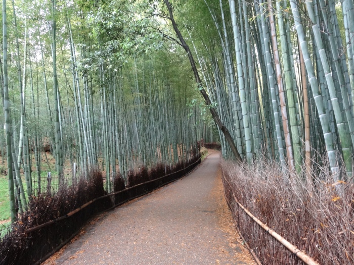 Bamboo Path, Arashiyama